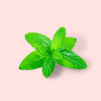 Menthol