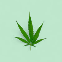 CBD